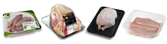 Poultry Meat Industry